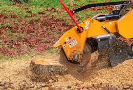 Best Lawn Mowing  in Olney, MD